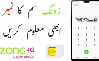 How to Verify Zong Number: