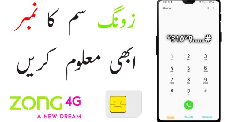 How to Verify Zong Number: