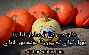 Funny Poetry In Urdu