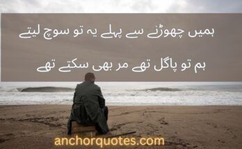 Sad Poetry & Sad Shayari In Urdu