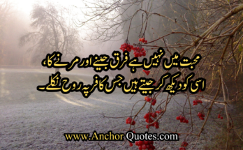 Sad poetry In Urdu 2 Lines