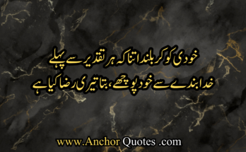 Allama Iqbal Poems