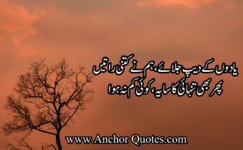 Sad Poetry In Urdu 